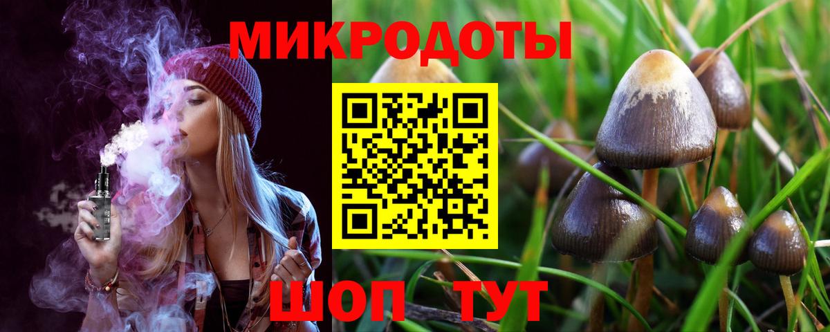 Шали  Псилоцибиновые грибы прущие грибы  Вход с VPN  что такое наркотик  Галлюциногенные грибы MAGIC MUSHROOMS 
